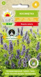 kocimietka-nasiona-ziol-kwiatow-04g-toraf