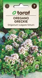 oregano-greckie-nasiona-ziol-01g-toraf