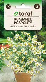 rumianek-pospolity-nasiona-ziol-05g-toraf