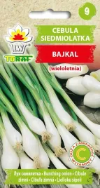 cebula-siedmiolatka-bajkal-nasiona-warzywa-3g-toraf