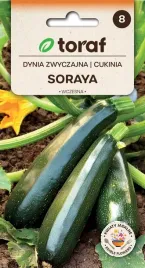 cukinia-soraya-nasiona-5g-toraf