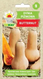 dynia-pizmowa-butternut-nasiona-warzywa-5g-toraf