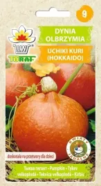 dynia-hokkaido-uchiki-kuri-nasiona-warzywa-5g-toraf