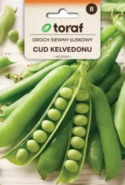 groch-cud-kelvedonu-nasiona-warzywa-50g-toraf