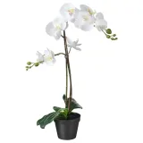 ikea-fejka-orchidea-wielki-bialy-storczyk-58cm