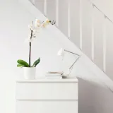ikea-fejka-orchidea-wielki-bialy-storczyk-58cm-stan-nowy