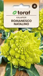 kalafior-romanesco-natalino-nasiona-warzyw-1g-toraf