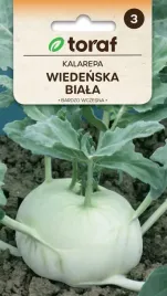 kalarepa-wiedenska-biala-nasiona-warzyw-2g-toraf