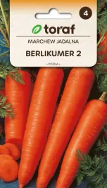 marchew-berlikumer-nasiona-warzywa-5g-toraf