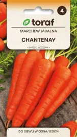 marchew-chantenay-nasiona-warzywa-5g-toraf