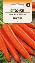 marchew-sukces-nasiona-warzywa-5g-toraf