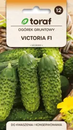 ogorek-gruntowy-victoria-nasiona-warzywa-5g-toraf