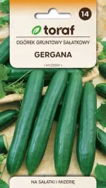 ogorek-salatkowy-gergana-nasiona-5g-toraf