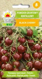 pomidor-black-cherry-nasiona-warzyw-03g-toraf