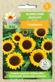 slonecznik-jadalny-nasiona-warzyw-10g-toraf