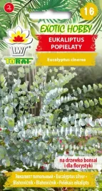 eukaliptus-popielaty-nasiona-20szt-exotic-hobby-toraf