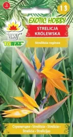 strelicja-krolewska-nasiona-5-szt-exotic-hobby-toraf