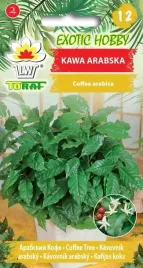 kawa-arabska-nasiona-6-szt-exotic-hobby-toraf