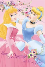 kocyk-polarowy-disney-ksiezniczki-kopciuszek-aurora-100-x-150-cm