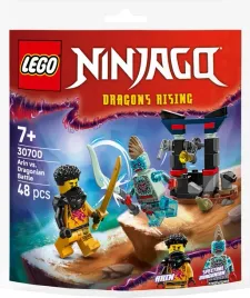 saszetka-polybag-klocki-lego-ninjago-30700-bitwa-arina-z-dragonem