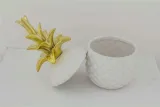 pojemnik-ananas