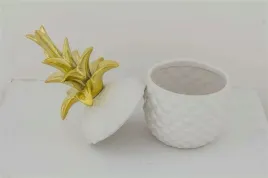 pojemnik-ananas