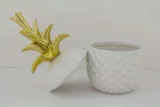 pojemnik-ananas