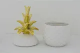 pojemnik-ananas