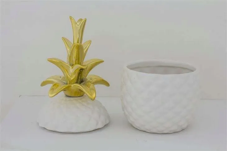 pojemnik-ananas