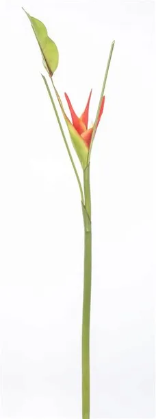 kwiat-sztuczny-ozdobny-kolor-czerwony-wys-79cm