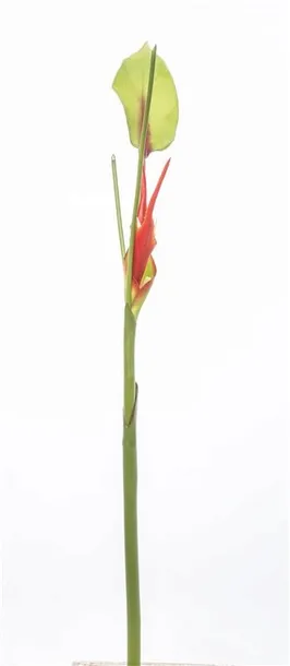 kwiat-sztuczny-ozdobny-kolor-czerwony-wys-79cm
