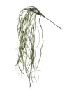 galazka-sztuczna-ozdobny-kolor-zielony-wys-88cm