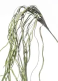 galazka-sztuczna-ozdobny-kolor-zielony-wys-88cm