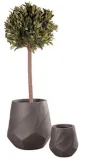 modern-black-wazon-1a