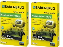trawa-nasiona-barenbrug-resilient-blue-2kg-uniwersalna-rozlogowa-instrukcja