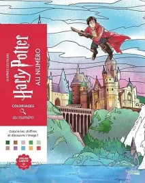 harry-potter-kolorowanka-po-numerach-kolorowanie-dla-doroslych-i-dzieci
