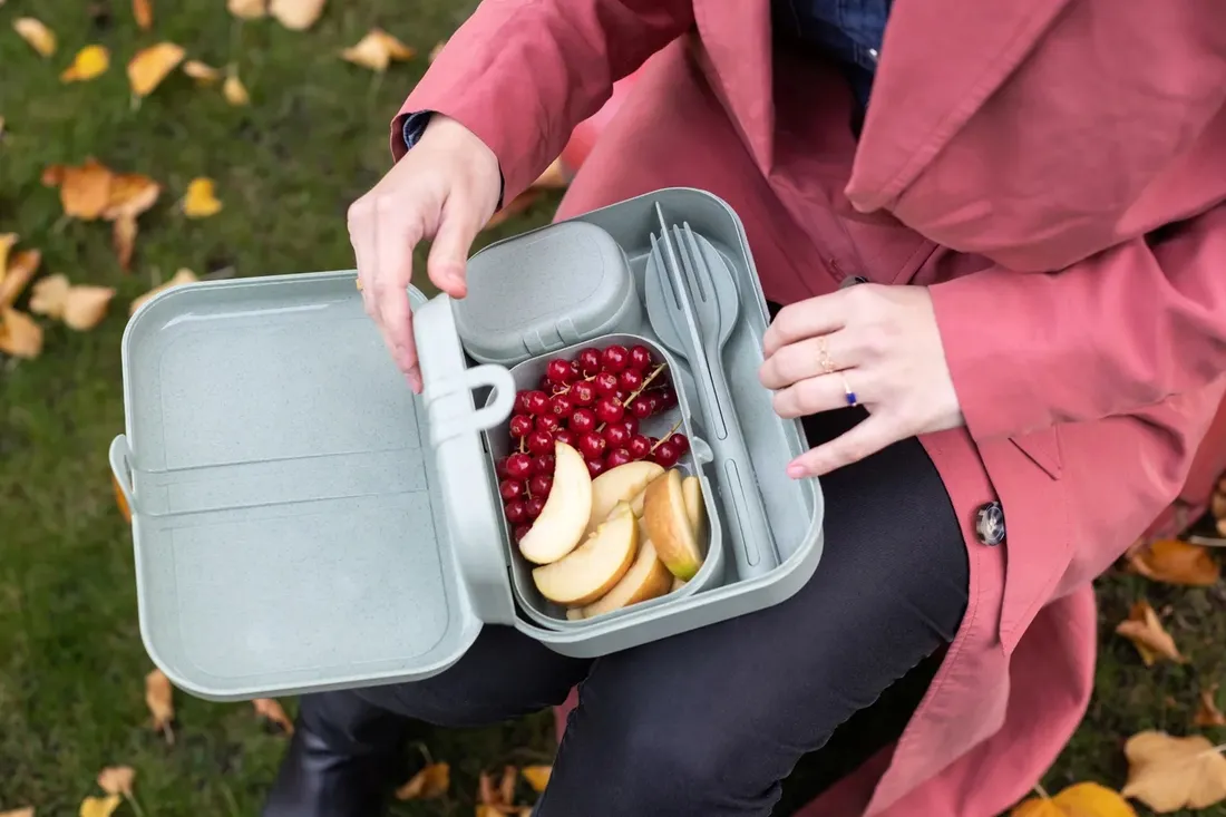 zestaw-lunchboxow-pascal-ready-organic-szary-waga-z-opakowaniem-0-15-kg