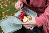 zestaw-lunchboxow-pascal-ready-organic-szary-pojemnosc-0-ml