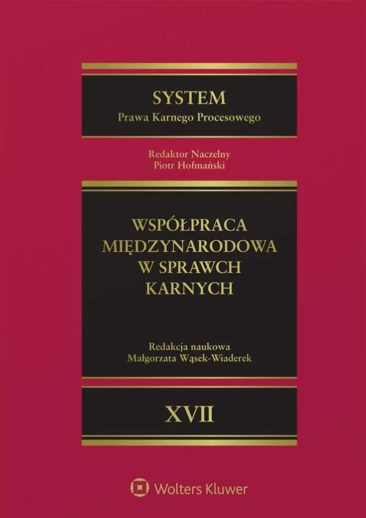 system-prawa-karnego-procesowego-t-17