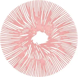 patera-anemone-rozowa-koziol