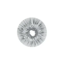 patera-na-przekaski-owoce-anemone-szara-koziol