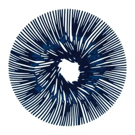 patera-na-owoce-przekaski-anemone-granat-koziol