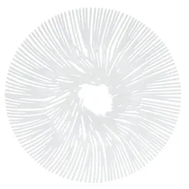 patera-na-owoce-przekaski-anemone-biala-koziol