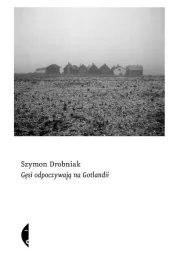 gesi-odpoczywaja-na-gotlandii-szymon-drobniak