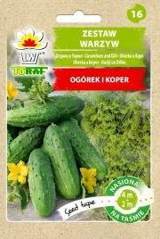 ogorek-parys-i-koper-krezus-nasiona-tasma-6m-toraf