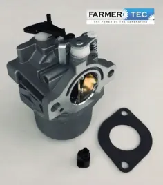 gaznik-briggsandstratton-495706-498027-498231