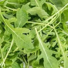 biopon-nasiona-rucola-05g