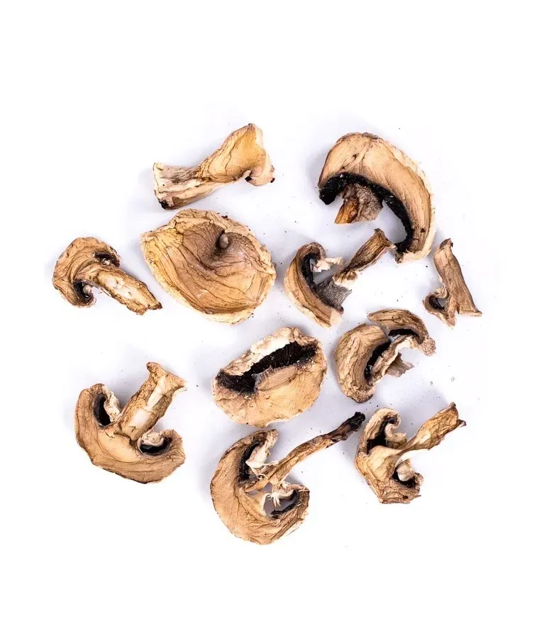 pieczarki-suszone-krojone-plastry-500g-gratis-marka-inna