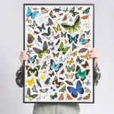 puzzlove-motyle-puzzle-czuczu-material-karton