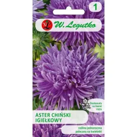 aster-chinski-igielkowy-fioletowy-nasiona-1-g-legutko